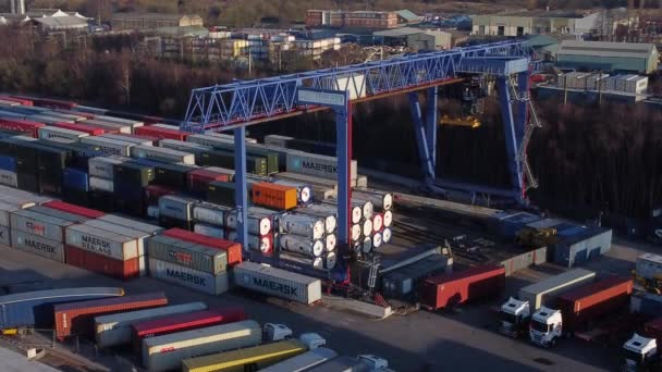 Transporte Contêiner Guindaste Elevador Descarga Carga Pesada Exportação Caixas Contentores — Vídeo de Stock