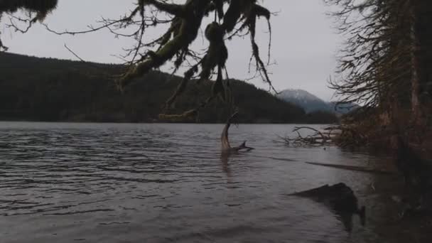 Buntzen Lake Coquitlam Vidvinkel Panorering Vänster Träd Mossa Vatten Vacker — Stockvideo