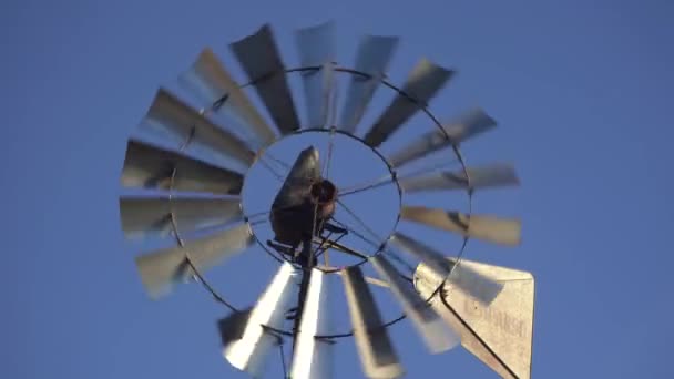 Alte Windmühle Dreht Sich Mit Dem Wind Strahlend Blauen Himmel — Stockvideo
