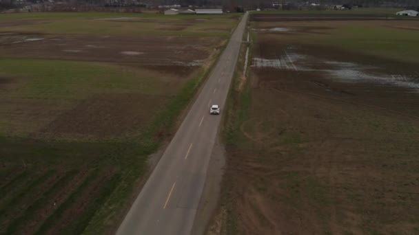 白い車2019トヨタカローラハッチバック田舎の農道に沿って運転農地の草茶色のフィールドに囲まれた茶色い山アボッツフォードBc以下の後ろから空中広い追跡軌道 — ストック動画