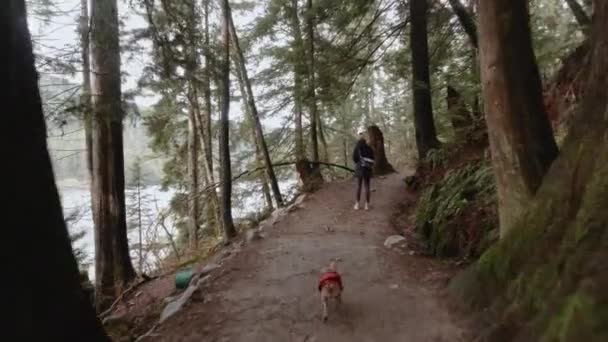 Pov Caminhadas Caminhadas Através Trilhas Natureza Lado Vista Lago Através — Vídeo de Stock