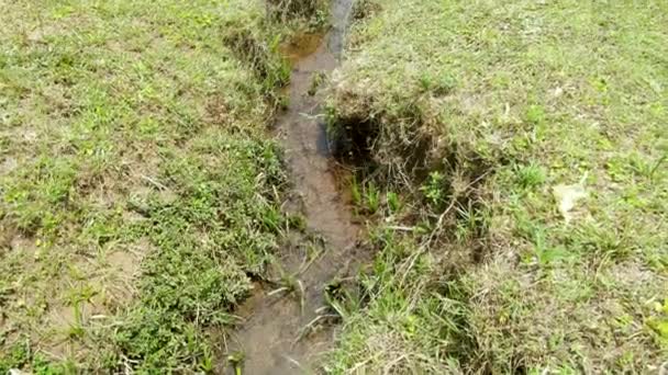 Water Stream Captured Drone Kenya — Wideo stockowe