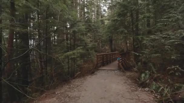 Walking Footbridge Green Forest Trail Pov Well Maintained Gravel Walkway — Stock video