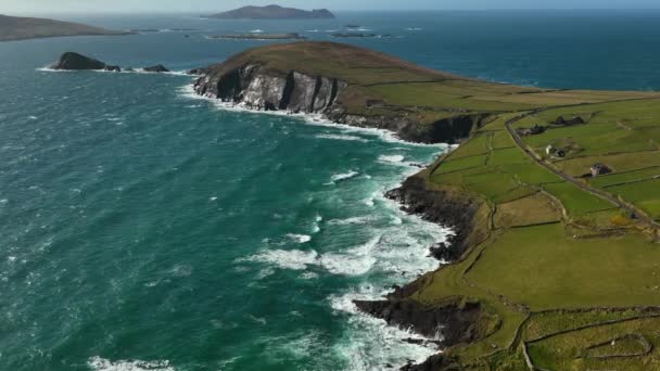 Coumeenooole Bay Kerry Ireland March 2022 無人機は 遠くのブラスケット諸島と北大西洋と崖に向かって北西に直面している間 ゆっくりとした動きでダンモアの頭に沿って押します — ストック動画