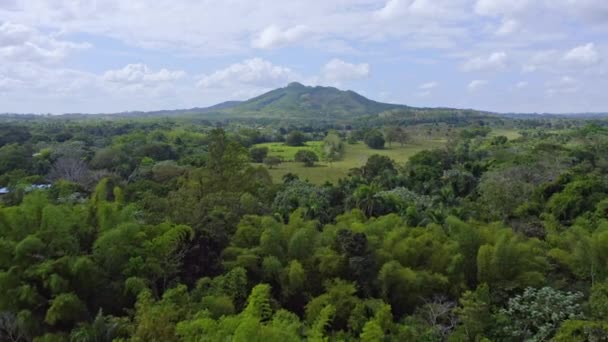 Bayaguana Comatillo Dominican Republic Aerial Forward — Stock Video