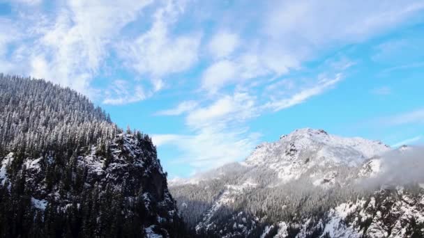 Panning Drone Shot Snow Covered Mountains Dense Evergreen Forests — Stockvideo