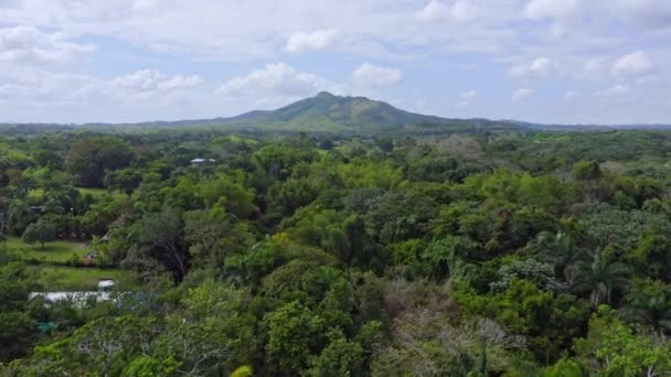 Dron Letící Nad Zeleným Lesem Poblíž Bayaguany Obci Monte Plata — Stock video