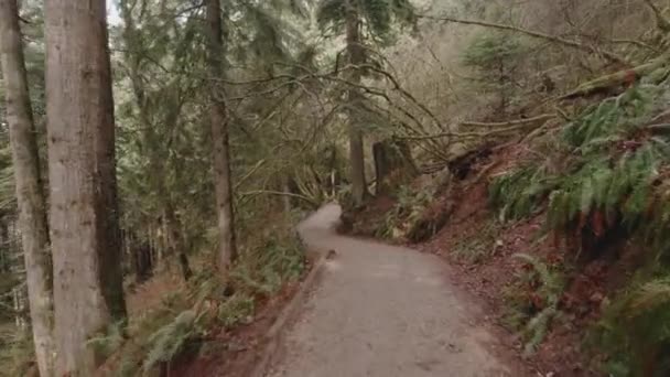 Buntzen Lake Loop Hiking Trail Anmore Recreation Area Park Leading — Stockvideo