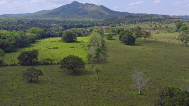 Greenery Landschap Bij Comatillo Met Berg Achtergrond Bayaguana Monte Plata — Stockvideo