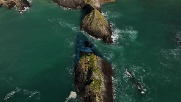 スリーヘッド ケリー アイルランド 2022年3月 北大西洋沖のディングル半島のダンキン桟橋に向かって東へと進む鳥の目の眺めのドローン — ストック動画