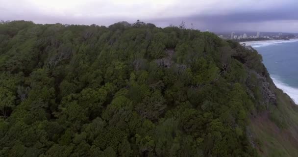 Vuelo Aéreo Sobre Parque Nacional Burleigh Head Revelando Gold Coast — Vídeos de Stock