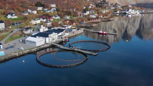 Vue Aérienne Petite Salmoniculture Avec Deux Enclos Dans Village Torsken — Video