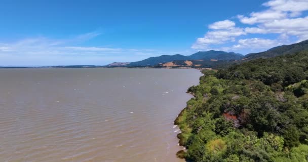 Aérea Través Aguas Marrones Contaminadas Reserva Natural Del Lago Wairarapa — Vídeos de Stock