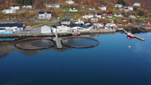 Luftaufnahme Der Kleinen Lachsfarm Dorf Torsken Norwegen — Stockvideo