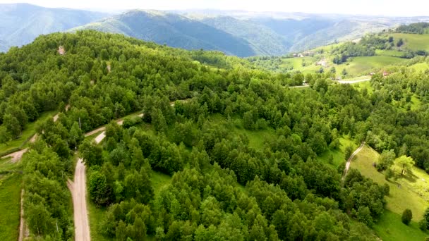 アプセニ山 カルパチア山脈の夏 緑の森と谷の空の景色 — ストック動画