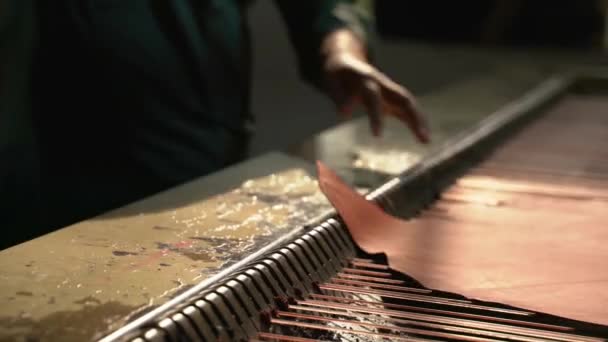 Worker Removing Leather Hides Industrial Conveyor Belt Production — Wideo stockowe