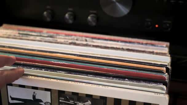 Close Man Hands Browsing Vintage Vinyl Records Home Searching Music — Video