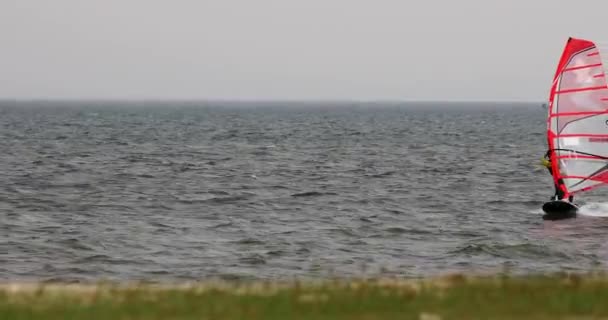 Ветер Серфер Приближается Пляжу Падает Воду Саилом Паттайе Таиланд Zoomed — стоковое видео