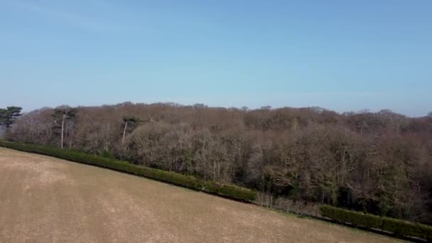 Drone Británico Mostrando Árboles Camino Rural Con Paisajes Fondo — Vídeos de Stock