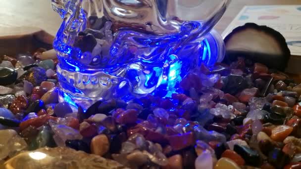 Kolekce barevných léčivých křišťálových drahokamů a tajemné duchovní lebky na dřevěném kuchyňském stole