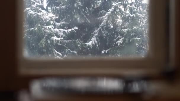 Window View Snow Falling Spruce Tree While Vinyl Record Spinning — Stock Video