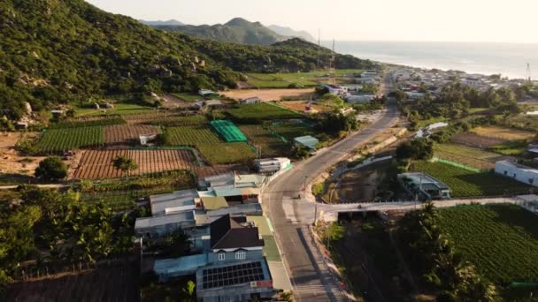 Camino Medio Plantaciones Vid Thai Vietnam Vista Aérea — Vídeo de stock