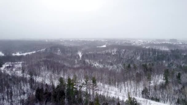 Winter Valley Hilly Landscape Aerial Reveal Dense Forest Snow Storm — 비디오