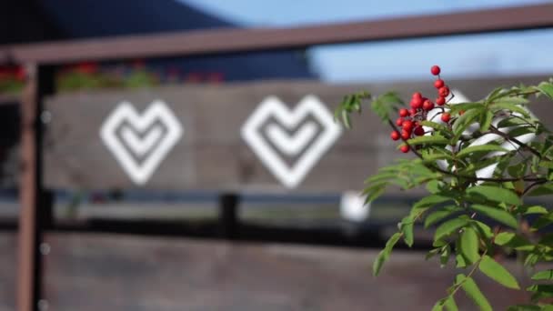Ozdobné tradiční slovenské symboly jsou namalovány na dřevěném venkovském domku v Imany, na Slovensku, světovém kulturním dědictví, známé památce ve střední Evropě, rostliny odhalující dřevěný plot 