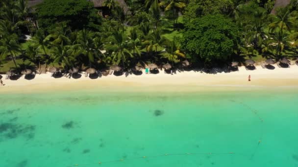 Strand Vízpart Mentén Korallzátony Pálmafák Mauritius Afrika Móló Közelében Strand — Stock videók