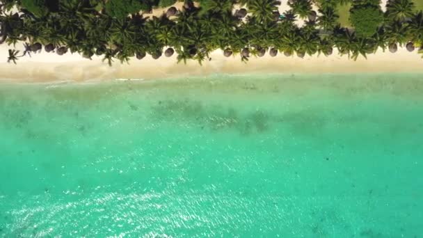 Luxe Tropisch Strand Mauritius Strand Met Palmen Blauwe Oceaan Luchtfoto — Stockvideo