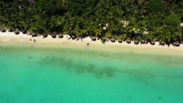 Praia Longo Orla Recife Coral Palmeiras Maurício África Cais Perto — Vídeo de Stock