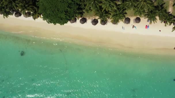Praia Tropical Maurício Praia Areia Com Palmas Oceano Azul Transparente — Vídeo de Stock