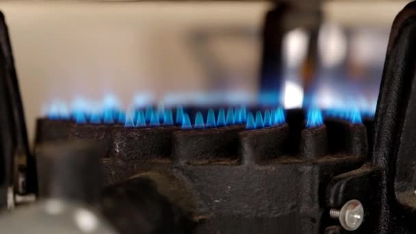 Cocina Gas Industrial Con Llamas Azules — Vídeos de Stock