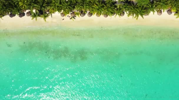 Spiaggia Tropicale Lusso Mauritius Spiaggia Con Palme Oceano Blu Vista — Video Stock
