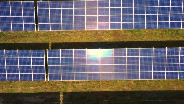 Vista Superior Uma Nova Fazenda Solar Linhas Painéis Solares Fotovoltaicos — Vídeo de Stock