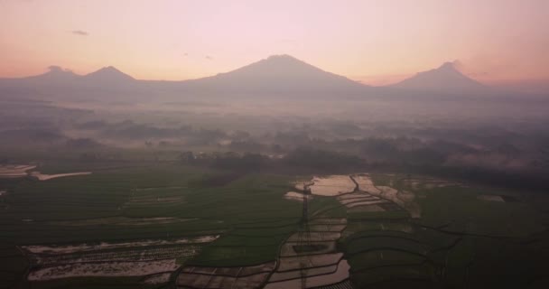 Luchtfoto Drone Uitzicht Rijstvelden Ochtend Met Achtergrond Van Mountain Centraal — Stockvideo