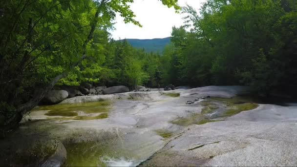 Stacionární Záběr Maine Les Wilderness Stepp Falls Turistická Stezka Plná — Stock video