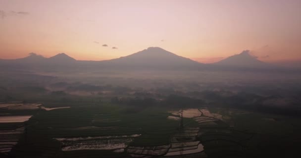 Luchtfoto Drone Uitzicht Rijstvelden Ochtend Met Achtergrond Van Mountain Centraal — Stockvideo