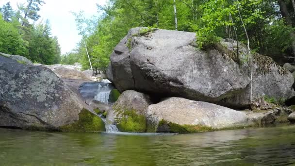 Stationäre Aufnahme Maine Forest Wilderness Stepp Falls Wanderweg Bereich Mit — Stockvideo