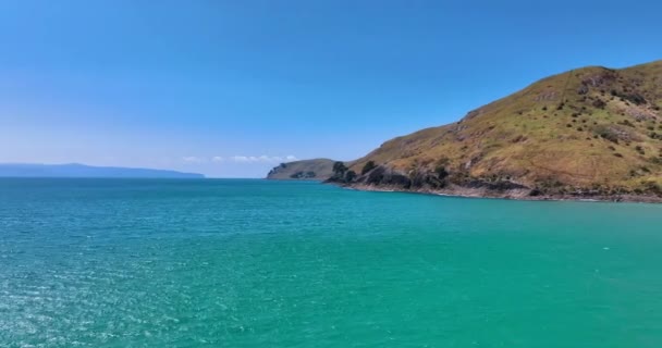 Azure Seas Rugged Headland Pristine Water New Zealand — стокове відео