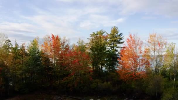 空中俯瞰秋天的色彩 在美国新英格兰的一个湖面的高峰树叶 无人驾驶飞机射击 — 图库视频影像