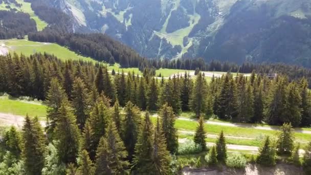 Drone Shot Van Een Berghelling Bedekt Met Dennenbomen Paden Weiden — Stockvideo