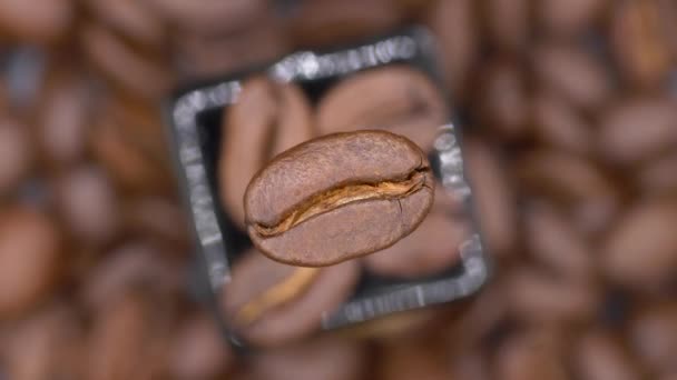 Single Roasted Coffee Bean Isolated Blurry Background Overhead Rotating Shot — Stock Video