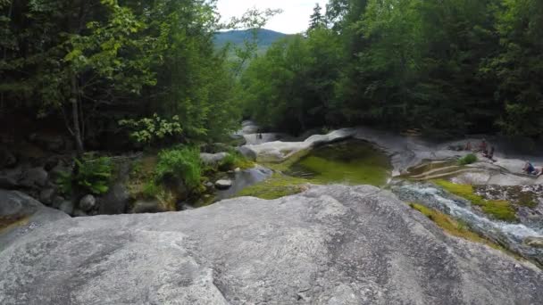 Stacionární Záběr Maine Les Wilderness Stepp Falls Turistická Stezka Oblast — Stock video