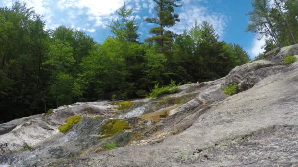 Stationary Shot Maine Forest Wilderness Stepp Falls Hiking Trail Area — Vídeo de Stock