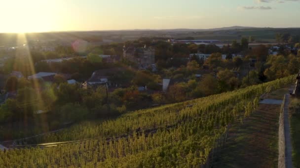 Hikers Walking Vineyards Stairs Sunset Moravia Village — Video Stock