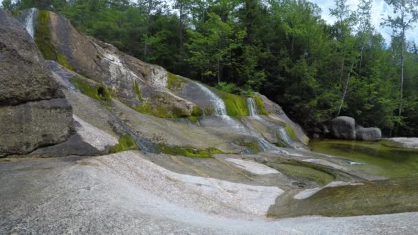 Stationary Shot Maine Forest Wilderness Stepp Falls Hiking Trail Area — Stockvideo