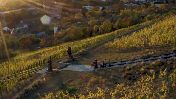 Family Walking Hill Stairway Vineyard Dogs Czechia Drone — ストック動画