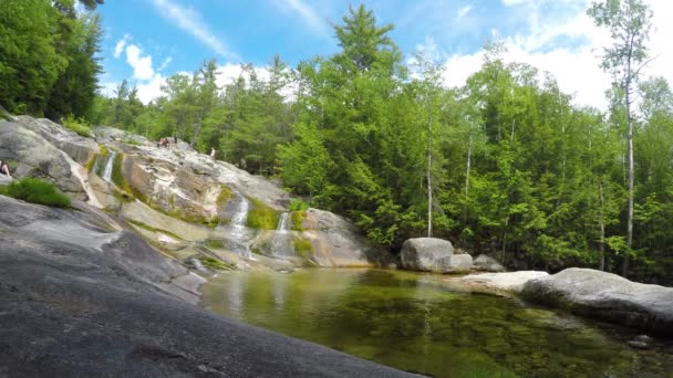 Stationary Shot Maine Forest Wilderness Stepp Falls Hiking Trail Area — Vídeo de Stock