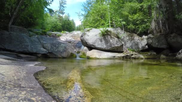 Stationary Shot Maine Forest Wilderness Stepp Falls Hiking Trail Area — Stockvideo